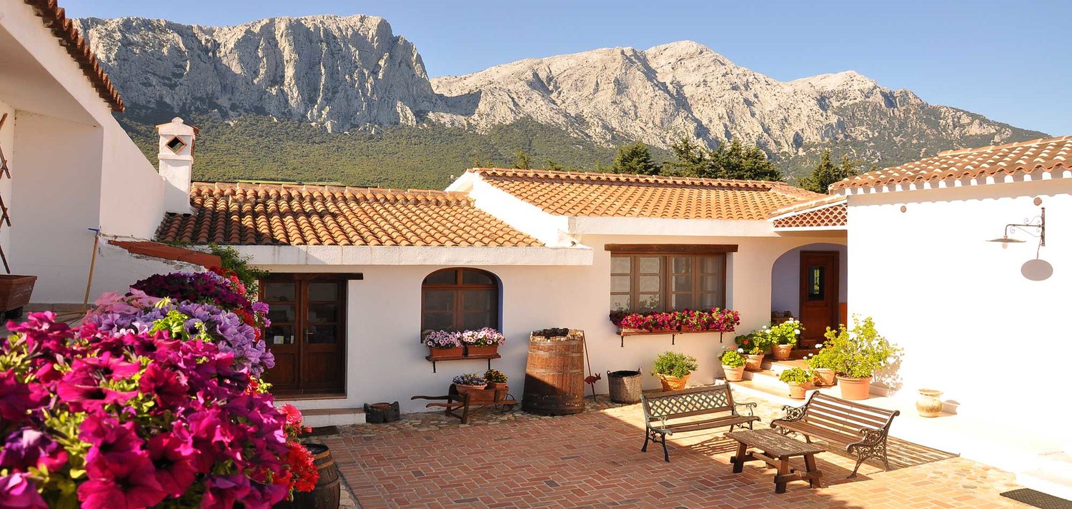 5 Can’t Miss Agritourism Experiences in Italy